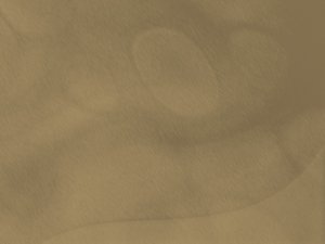 茶饮市场消费排行：网红奶茶品牌推荐